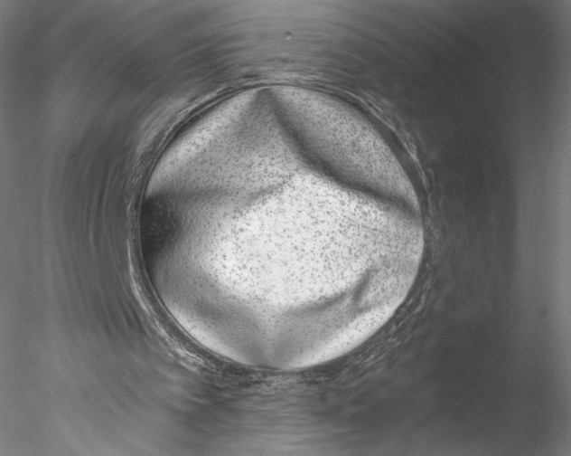 X0000076370097200611031614