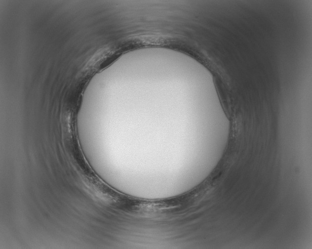 X0000076370117200611031613