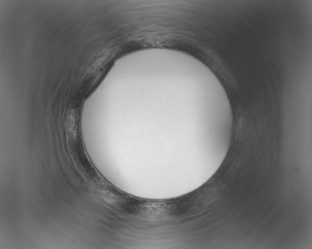 X0000076370121200611031613