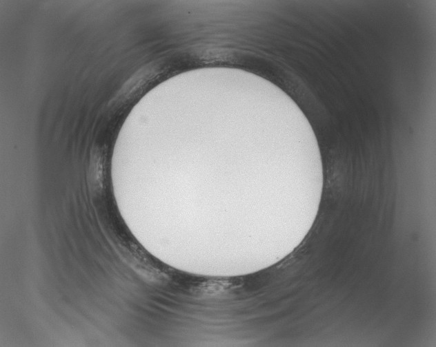 X0000076370124200611031613