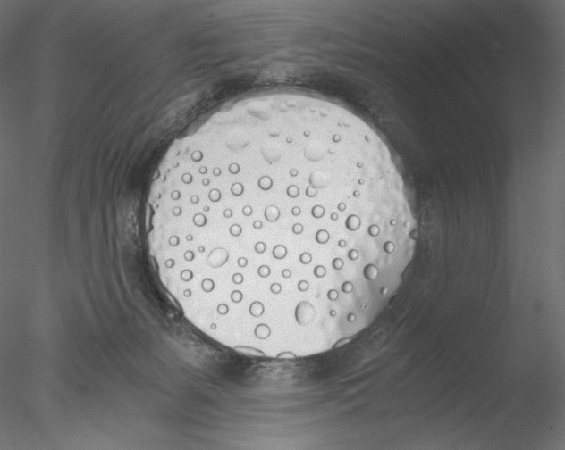 X0000076370127200611031613