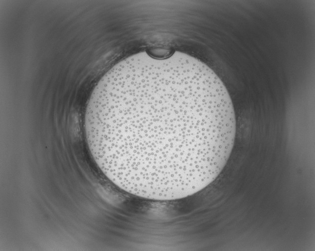 X0000076370130200611031613