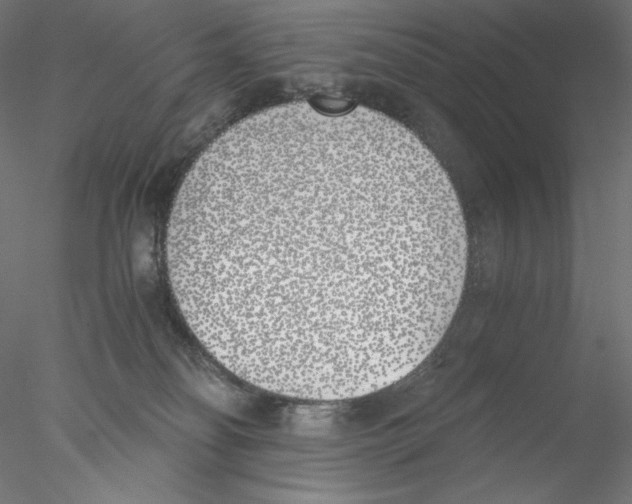 X0000076370134200611031613