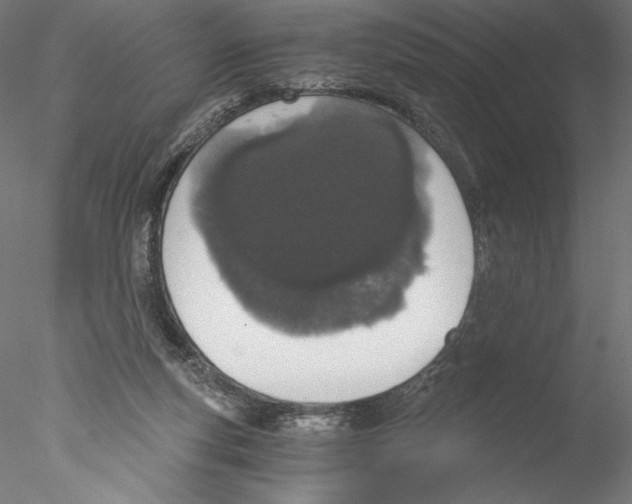 X0000076370163200611031612