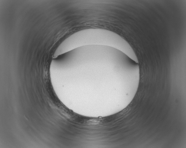 X0000076370176200611031613
