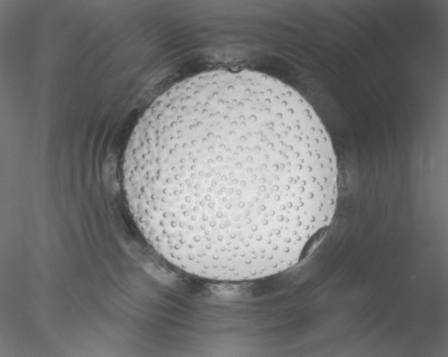 X0000076370187200611031613