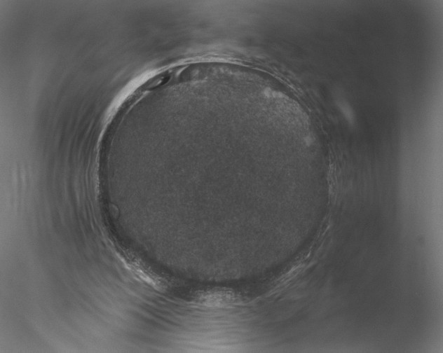 X0000076370200200611031612