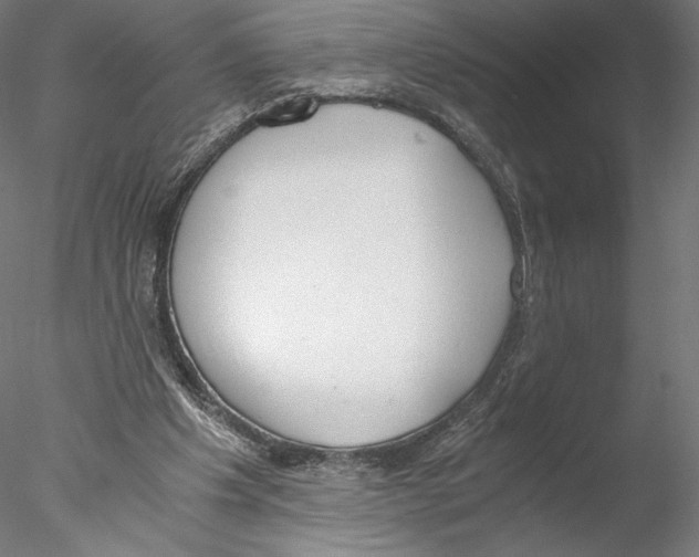 X0000076370201200611031612