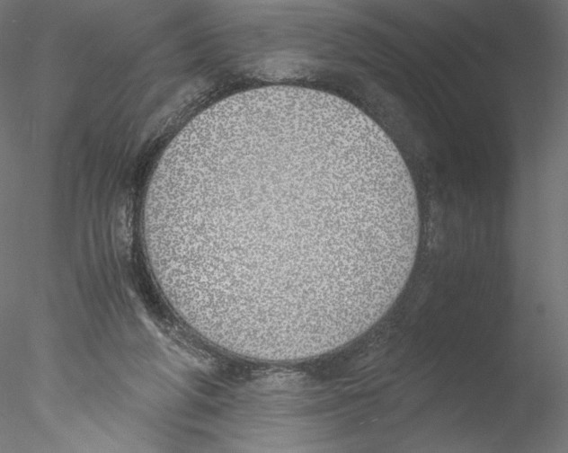 X0000076370210200611031612