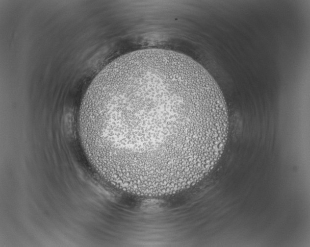 X0000076370222200611031612