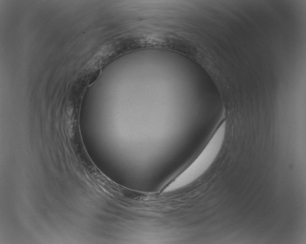 X0000076370223200611031612