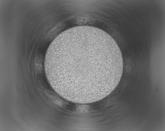 X0000076370226200611031612