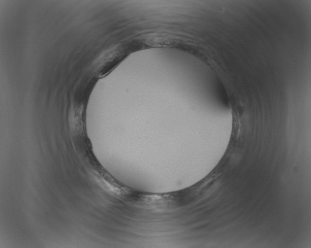 X0000076370239200611031611