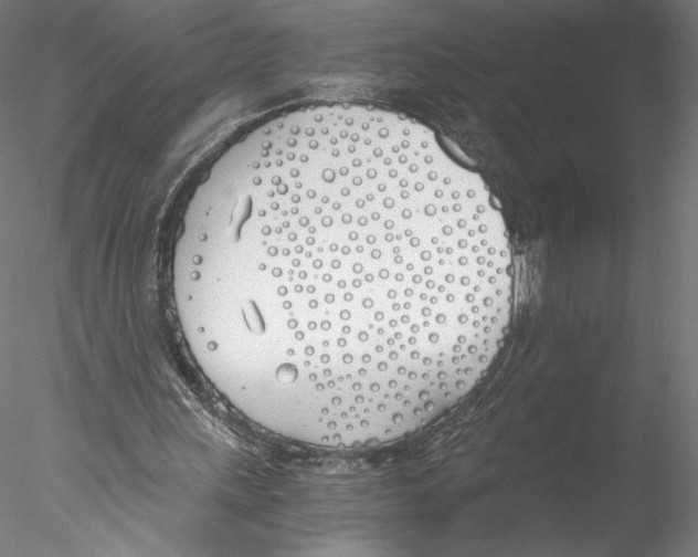 X0000076370243200611031611