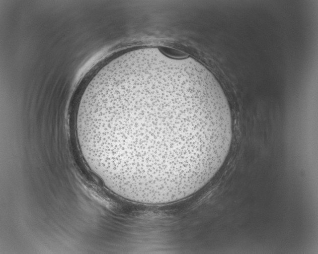 X0000076370246200611031611
