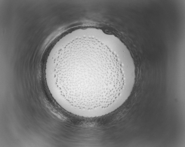 X0000076370247200611031611