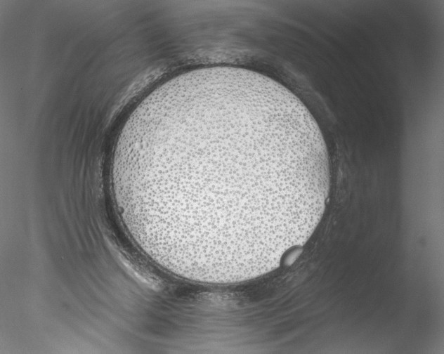 X0000076370250200611031611