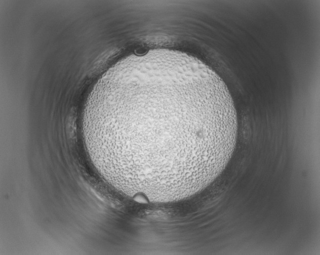 X0000076370259200611031611