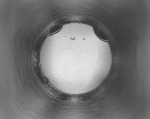 X0000076370264200611031611