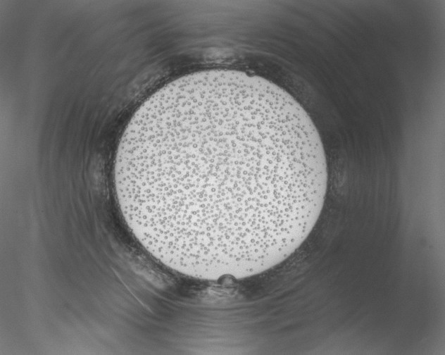 X0000076370270200611031611
