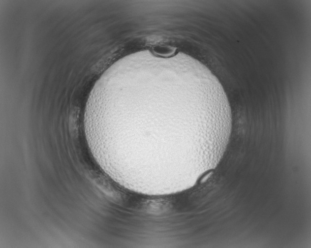 X0000076370275200611031611
