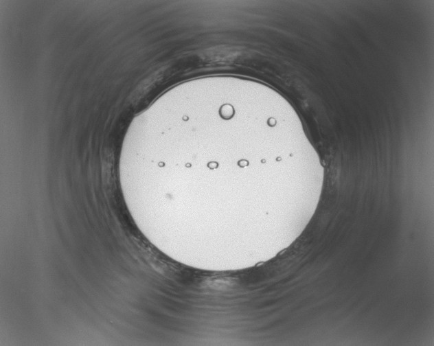X0000076370283200611031611