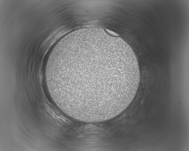 X0000076370290200611031611