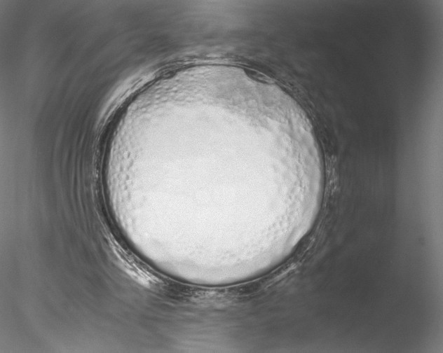 X0000076370293200611031610