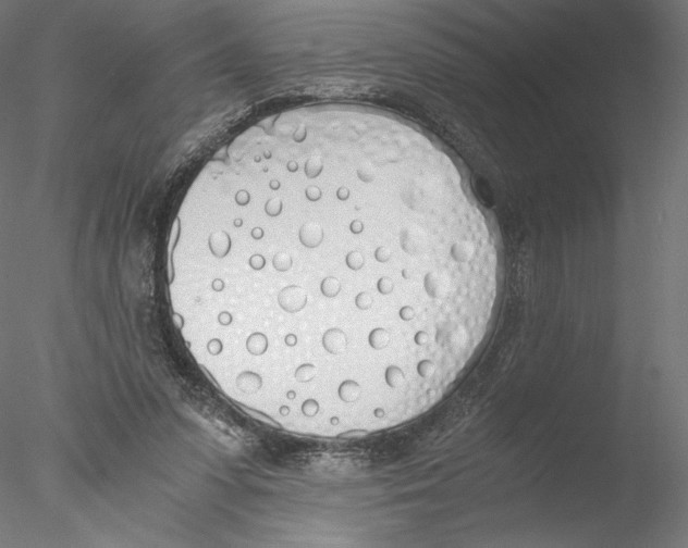 X0000076370303200611031610