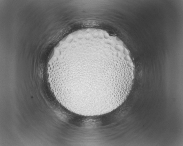 X0000076370315200611031610
