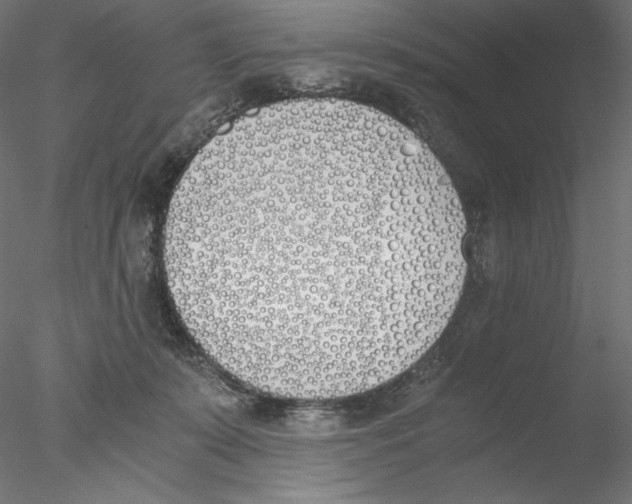 X0000076370319200611031610