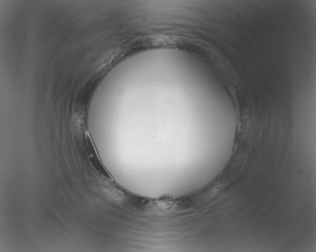 X0000076370329200611031610