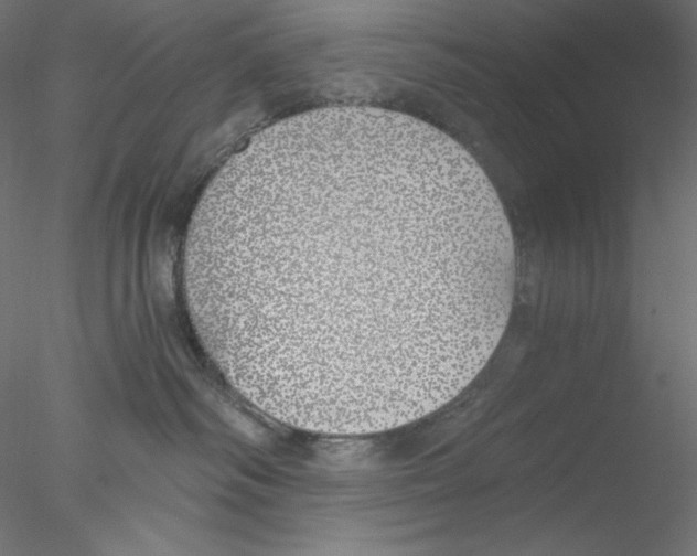 X0000076370334200611031610