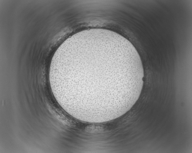 X0000076370354200611031609