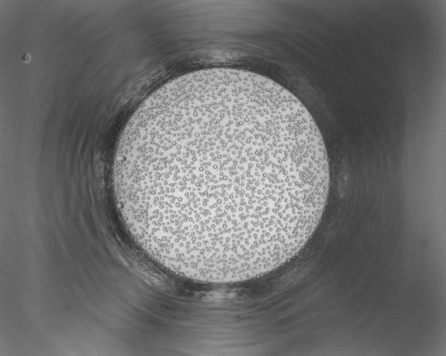 X0000076370366200611031609