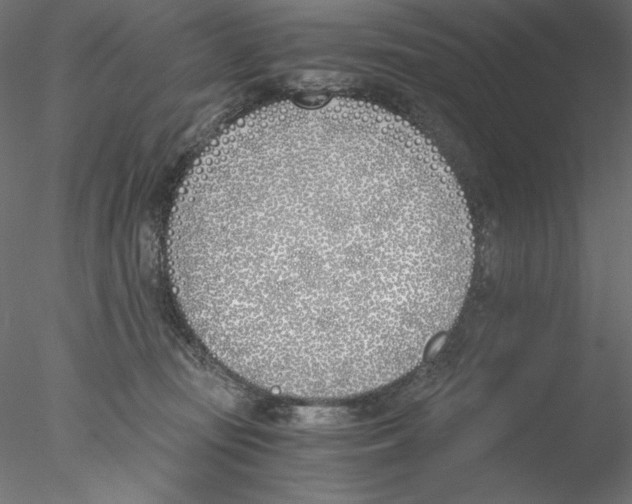 X0000076370371200611031610