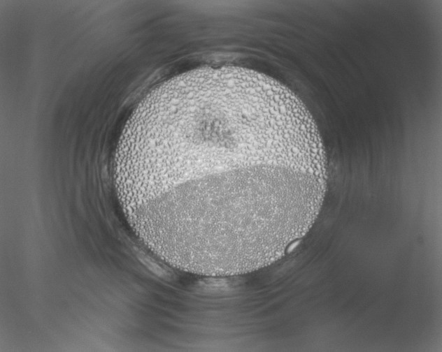 X0000076370381200611031610