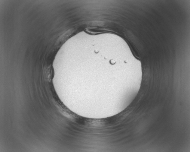 X0000076370383200611031610
