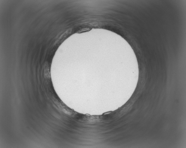 X0000076370384200611031610