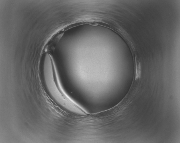 X0000076370387200611031609
