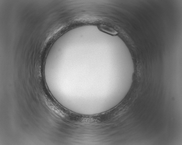 X0000076370399200611031609