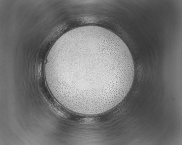 X0000076370406200611031609