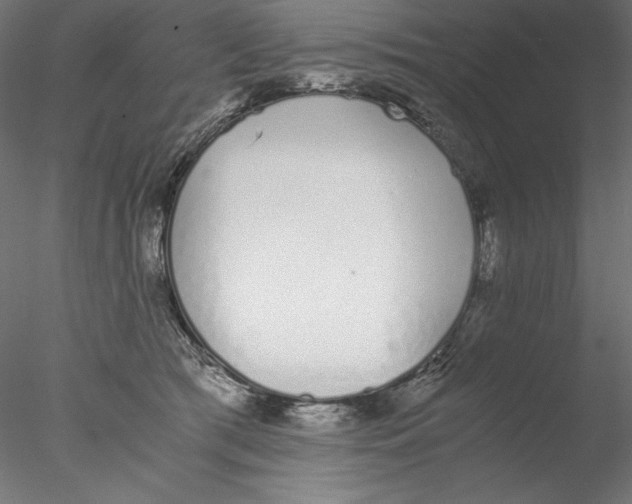 X0000076370417200611031608