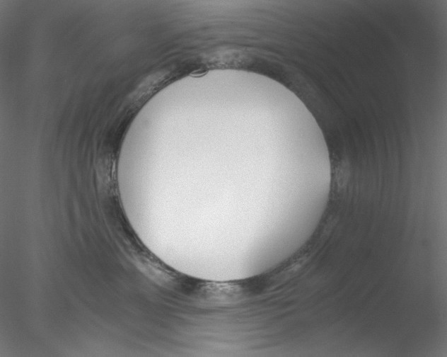 X0000076370429200611031608