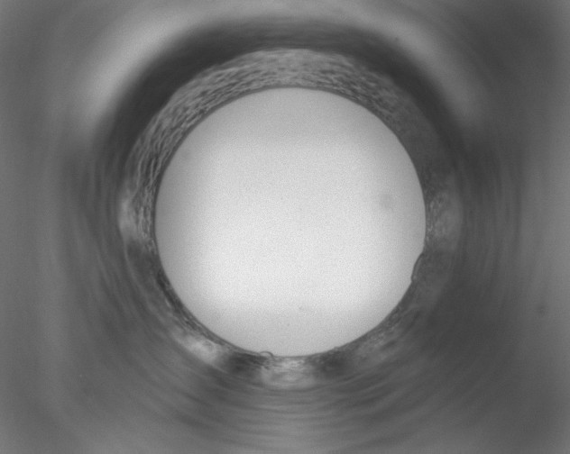 X0000076370431200611031608