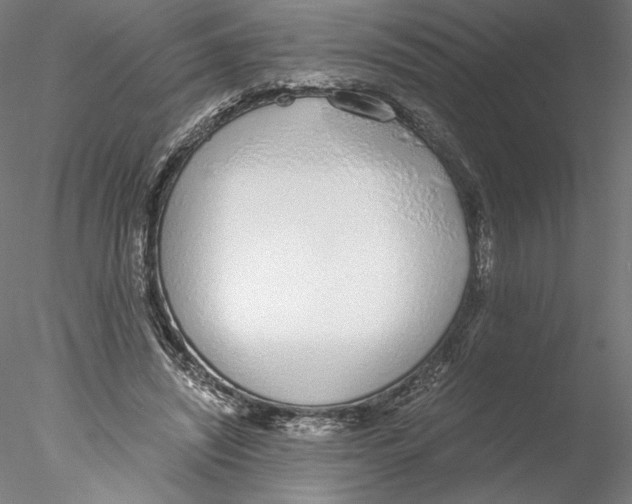 X0000076370444200611031608