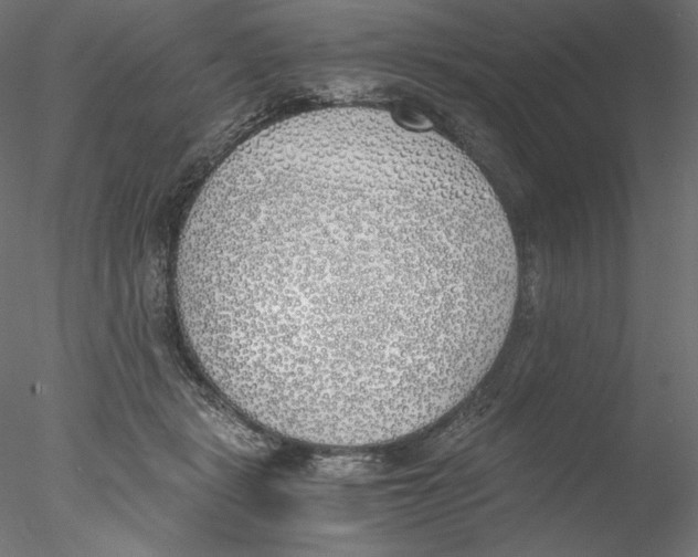X0000076370461200611031608