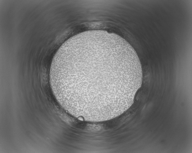 X0000076370469200611031608