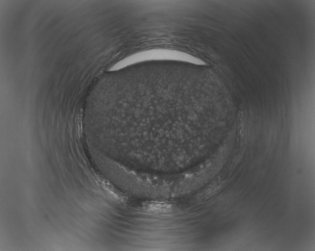 X0000076370471200611031608