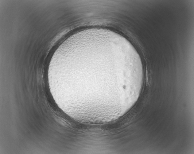 X0000076370483200611031607